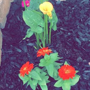 Meet your Posher, Melinda